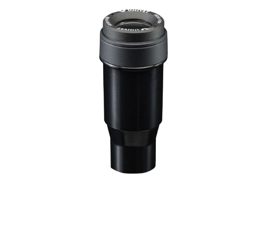 Prismatic loupe system